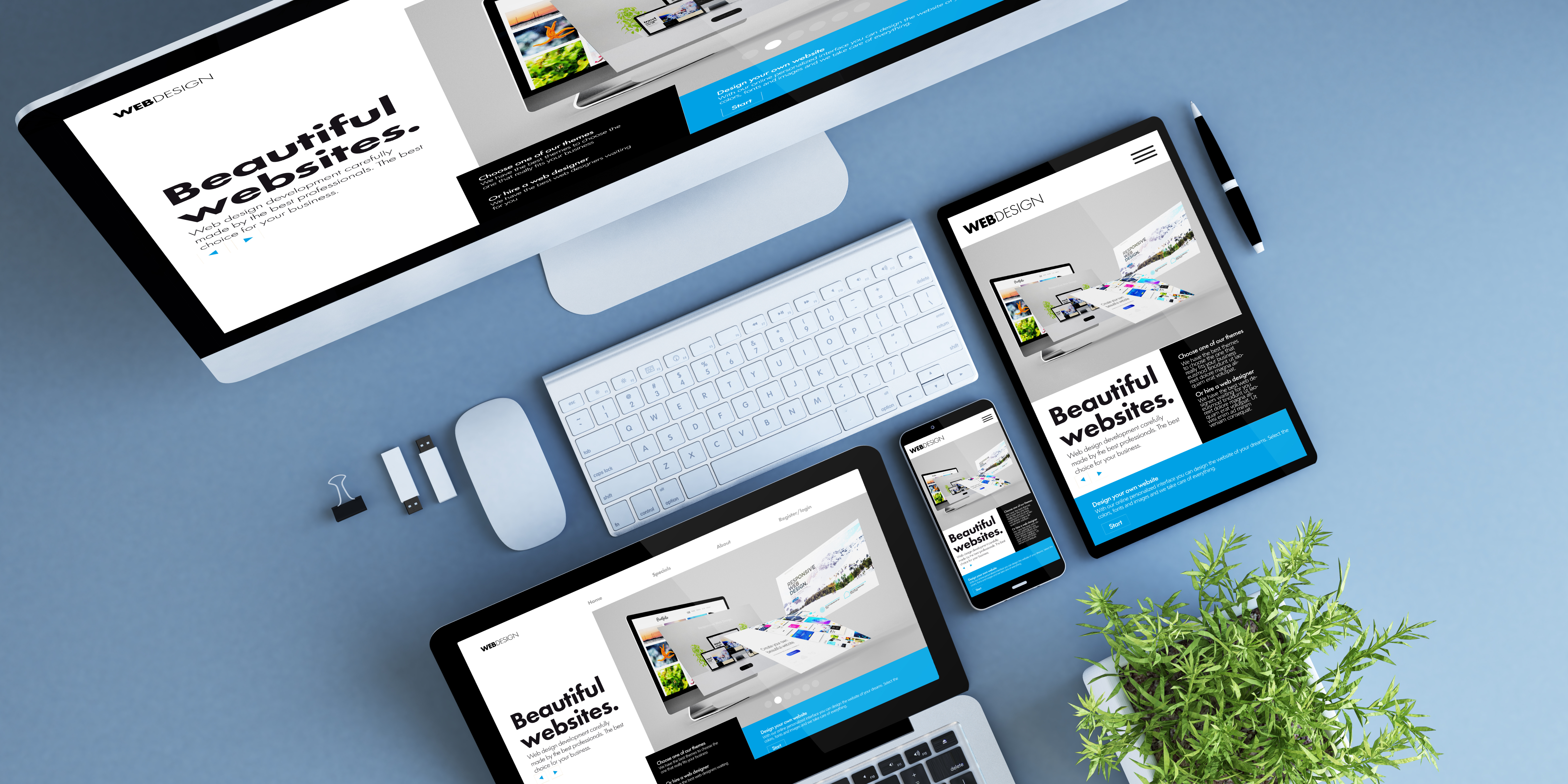 SL (1) quel cms choisir<br />
