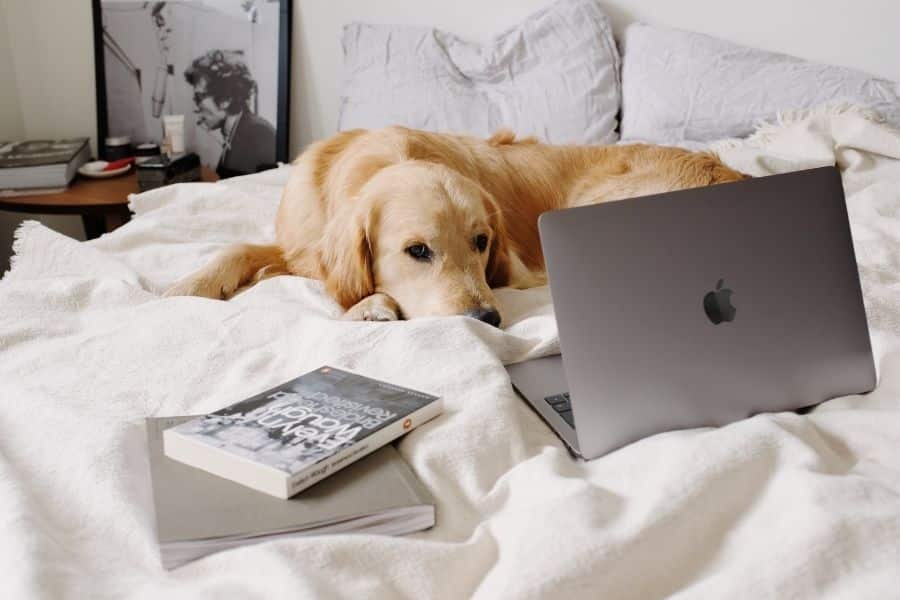 webmaster clermont-ferrand