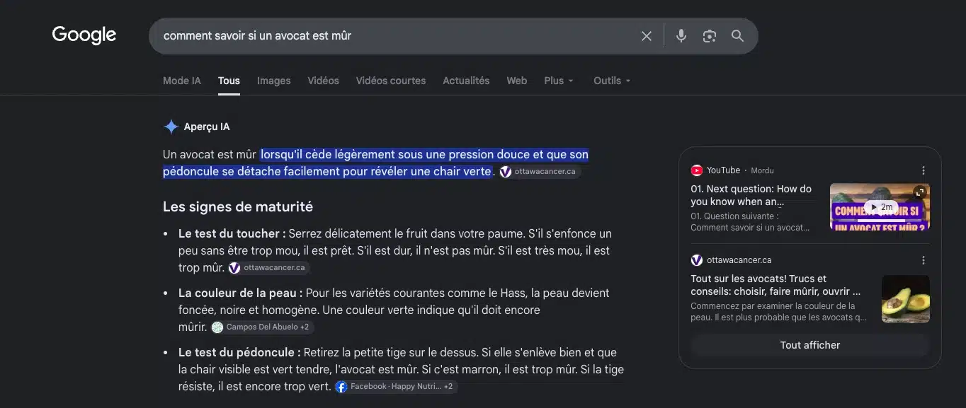 Exemple d'AI Overview sur Google